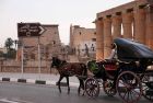 Best Day Trips in Luxor: Explore the City on a Horse Carriage Ride